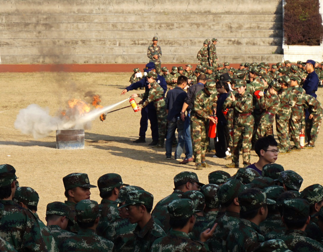 图片13.png 图片13.png