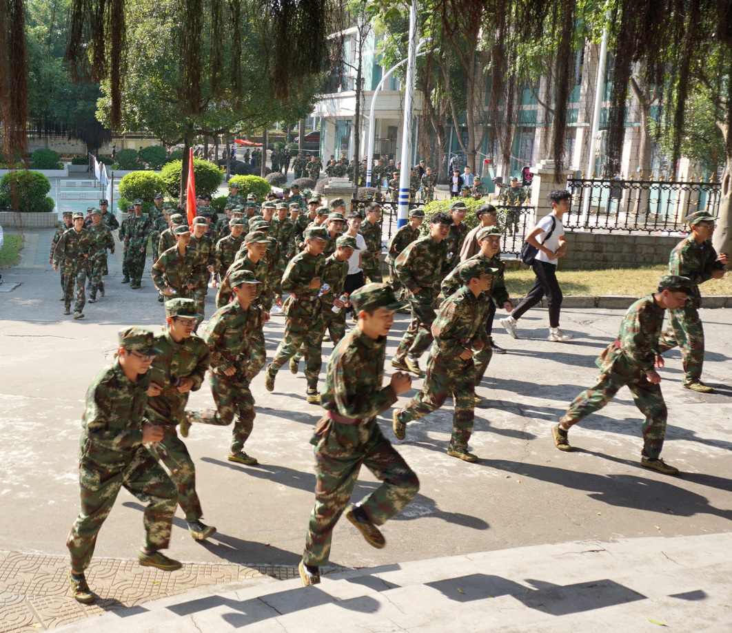 图片11.png 图片11.png